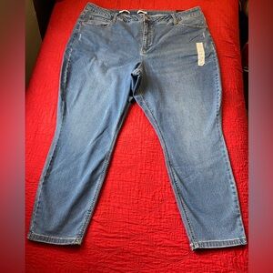 Ava & Viv Classic Denim Skinny Jeans